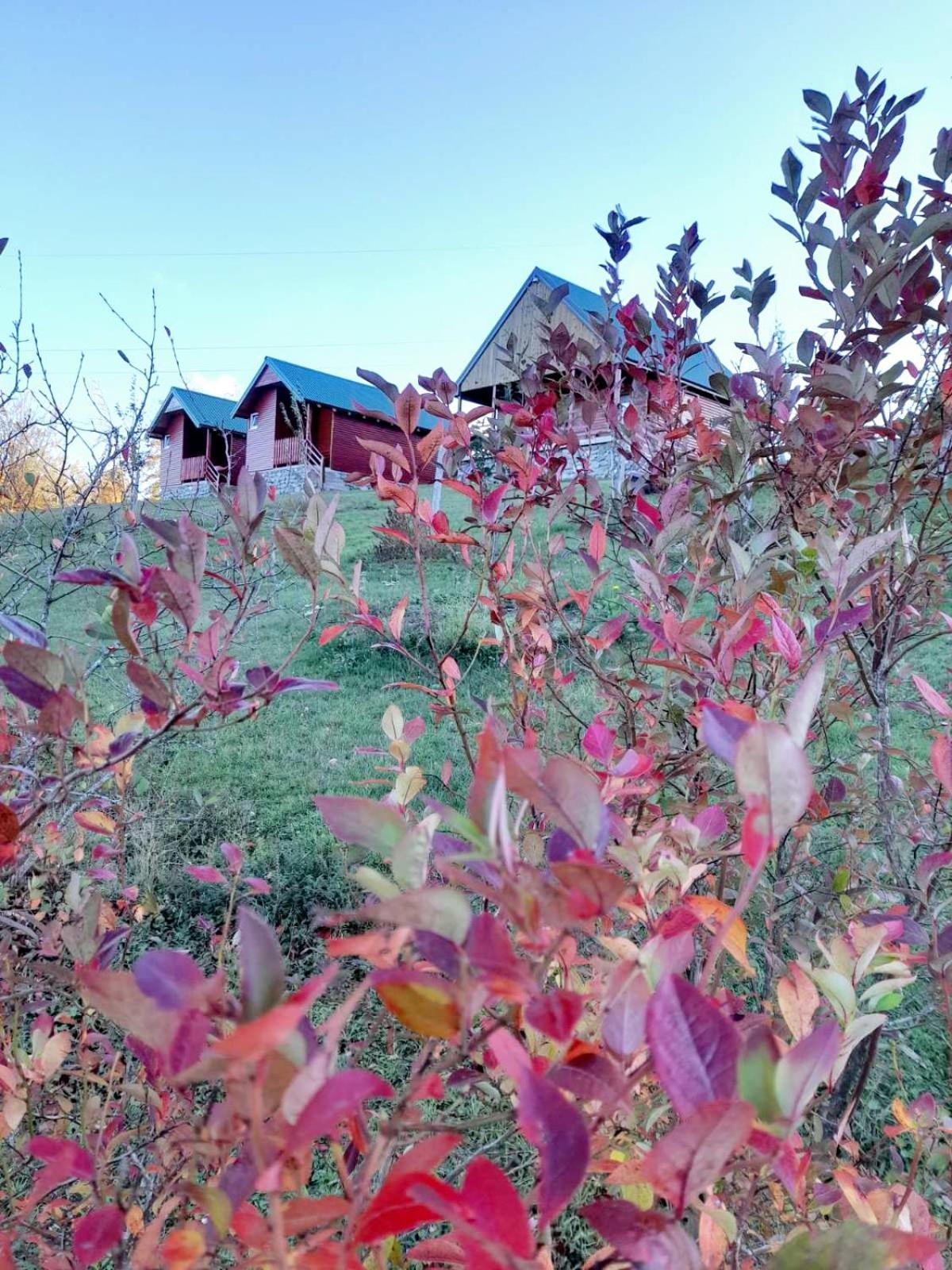 Country House Eco village Ćorić Mojkovac Eksteriør bilde