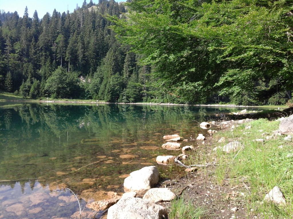 Country House Eco village Ćorić Mojkovac Eksteriør bilde